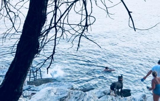 Thassos