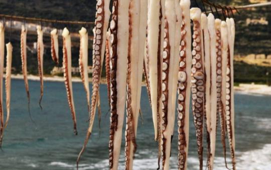 Astris, Thassos